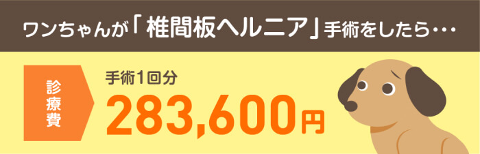 ワンちゃんの「椎間板ヘルニア」手術の診療費