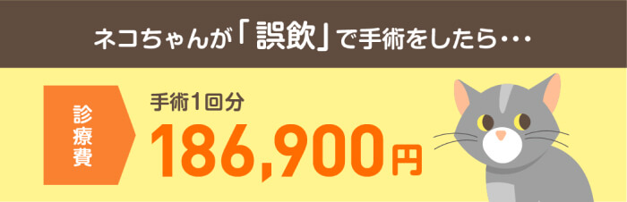 ネコちゃんの「誤飲」で手術の診療費