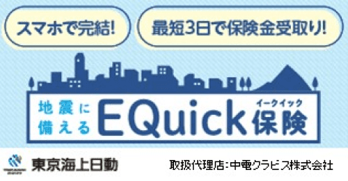 EQuick保険